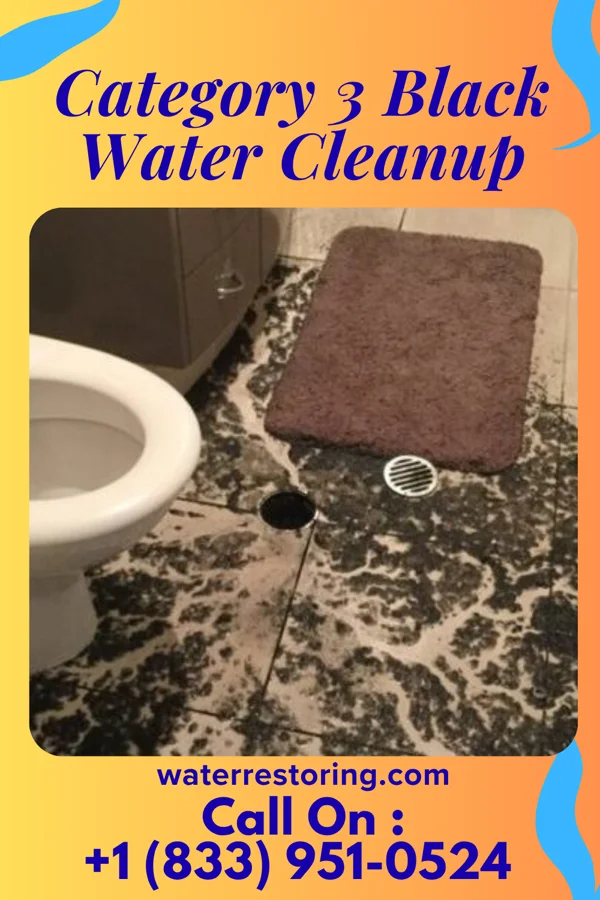 Category 3 Black Water Cleanup in Palatine Bridge, NY